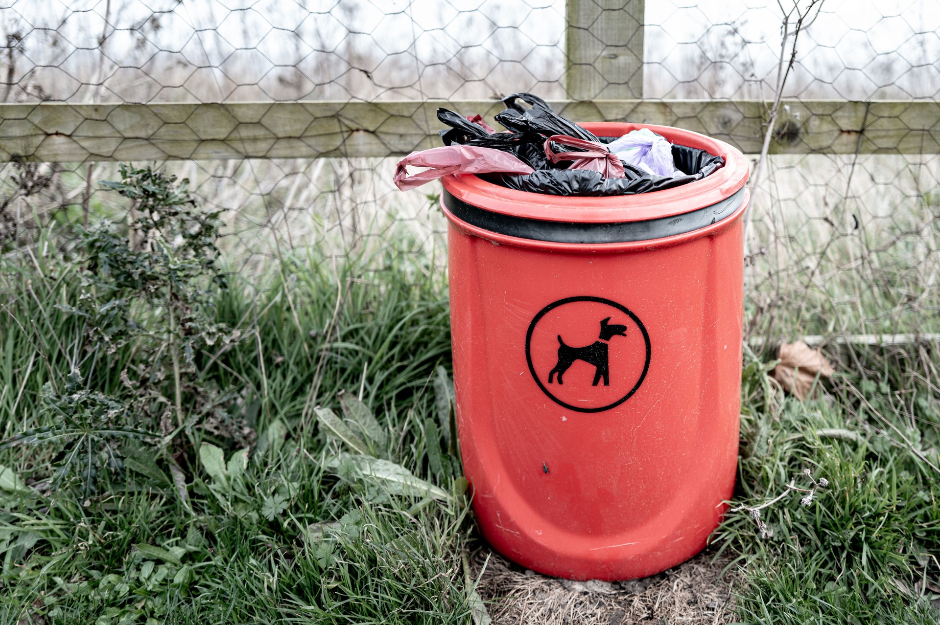 Completely full dog poop bin seen full of full dog pop bags.