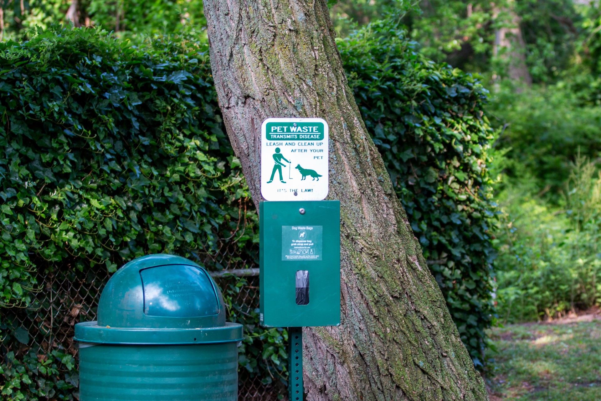 A Green Trash Can Next to a Tree and a pet waste bag dispencer