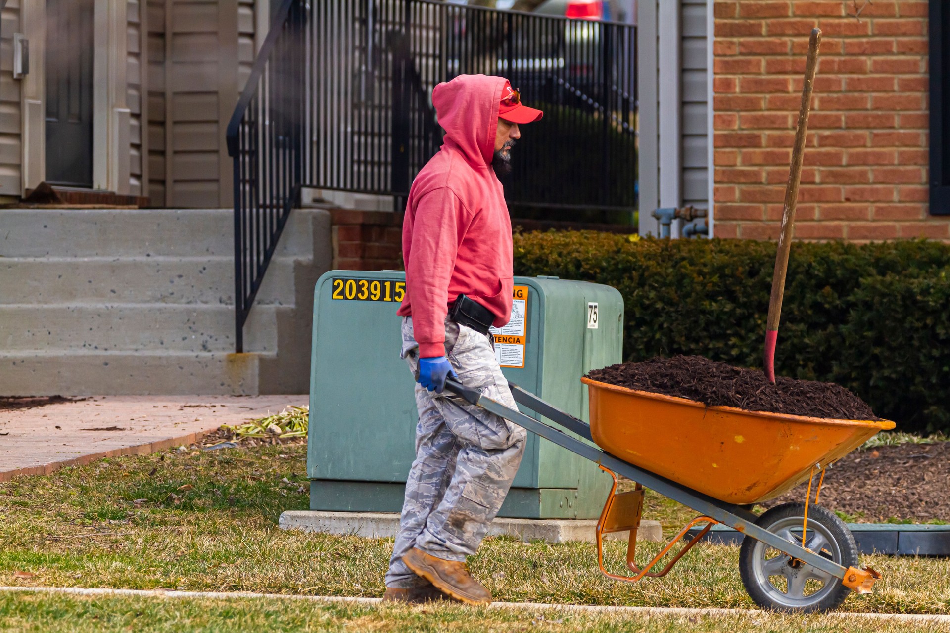 A hispanic gardener is carrying a wheel barrow